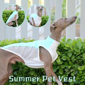 Summer Mesh Ice Silk Sunscreen Dog Vest Coat for Whibbit Greyhound Dogs Pet - Picture 1 of 18