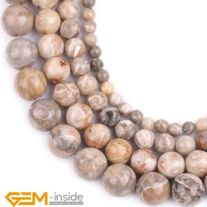 Natural Gray Fossil Coral Jasper Gemstone Round Loose Beads 4mm-10mm Strand15" - Picture 1 of 30