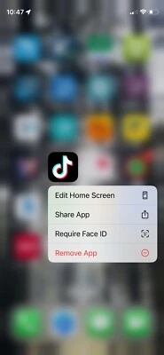 TikTok (US) Installed Apple iPhone 12 Mini - 128 GB - Unlocked - Black (DE) - Bild 1 von 4