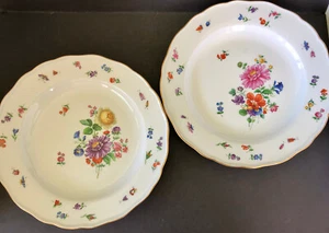 Pair Meissen Dinner Plates, Flowers & Insects - Picture 1 of 10