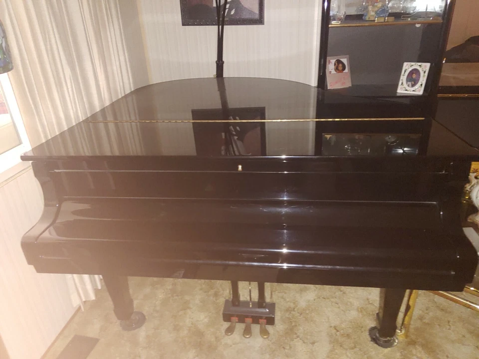 Beautiful Slightly Used Baby Grand Piano  - Image 1 of 4