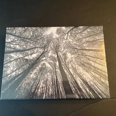 Puzzle 1000 piezas Bgraamiens "BOSQUE EN BLANCO Y NEGRO" - NUEVO, embalaje sellado K Foto 1 de 4