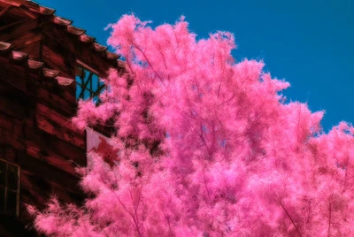 Infrared 470nm Filter   52mm *** HYPER COLOUR ***   For Full Spectrum Camera - Image 1 of 4