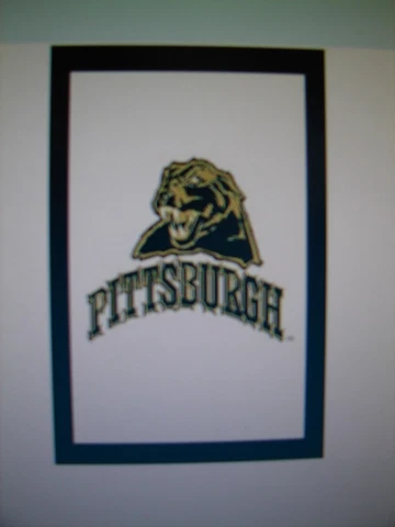 Pittsburgh Panthers 2-Sided Applique Full Size Flag 28" x 44" Cover