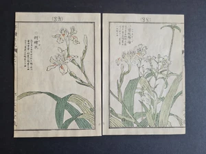 Grabados en madera japoneses antiguos de 1890 - Iris japonica - Kono Bairei - Imagen 1 de 4