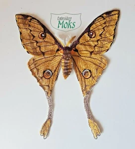 Butterfly Moth Argema Kuhnei Insect Handmade Embroidered Patch - Picture 1 of 5