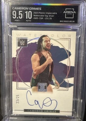 2023 Panini Impeccable WWE Cameron Grimes Watercolor Auto Silver /25 AC 9.5/10🔥 - Image 1 of 3