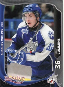 2013/14 Sudbury Wolves - CONOR CUMMINS - Bild 1 von 1