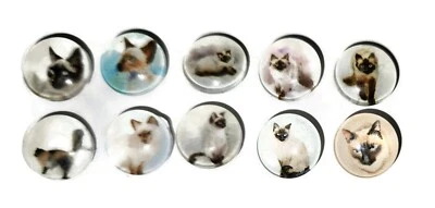 SIAMESE CAT GLASS Thumb Tacks - Set of 10 Handmade Decorative Pins - Image 1 of 3