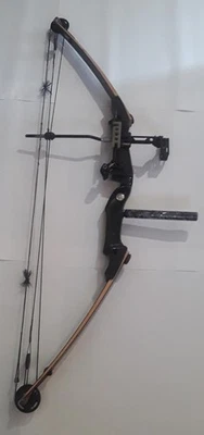 Arco largo compuesto tradicional Bear Grizzly con accesorios 70# Dibujo 31" AMO 43" DIESTRO Foto 1 de 4
