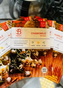 13 PACKETS of GERMAN CHAMOMILE SEEDS -Open Pollinated-Organic-Non GMO  - Picture 1 of 3
