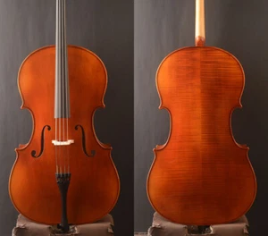Misura 1/2 per bambino! Un violoncello moderno copia Stradivari, legno europeo, tono migliore - Foto 1 di 8