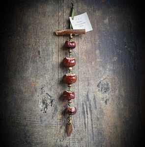 Horse Chestnut Success Charm Yule Decoration Witch ladder Wicca Pagan Witchcraft - Picture 1 of 5