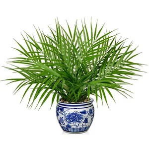 16" Large Artificial Palm Plant Faux Tropical Tree in Blue Ceramic Pot Decor - Picture 1 of 7