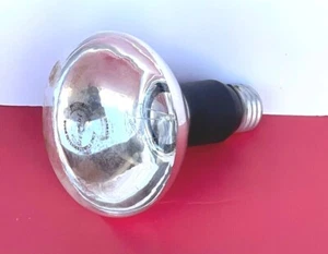 DVP 300W 120V PHOTOGRAPHIC LIGHT BULB LAMP Westinghouse 100085 NEW - Picture 1 of 3