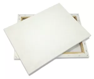 2 Piece 16x20" Artist Canvases Pre-Stretched Cotton Duck Double Acrylic Gesso - Picture 1 of 5