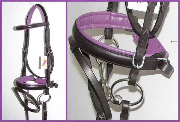 FSS Немецкие Шикарные СЛИВОВЫЕ АМЕТИСТОВЫЕ ФИОЛЕТОВЫЕ Комфортные Мягкие Вожжи для Выездки РУКОЯТКА Уздечки - Изображение 1 из 1