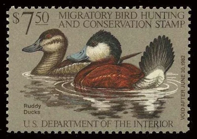 RW48 — 1981 Ruddy duck, XF 90 NH, PSE Certificate - Image 1 of 2