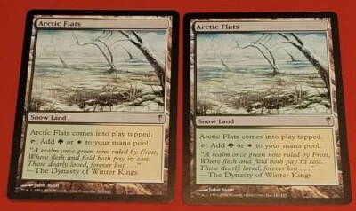 MTG Magic The Gathering - Arctic Flats ×2 (Uncommon) Coldsnap 2006 LP 143/155 - Image 1 of 4