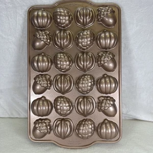 Nordic Ware Antihaftbeschichtete Aluminiumguss Herbst Kuchen Plakette Hergestellt in den USA 2,5 Tassen - Bild 1 von 10