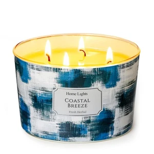 HomeLights Large jar Candle | 4-Long-Lasting Scented Candles, 18oz Natural So... - Picture 1 of 7