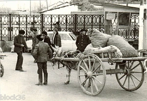 1960's photo SCENE AT MARKET GATE: MEN AND DONKEY (ASIAN REPUBLIC OF THE USSR)  - Bild 1 von 1