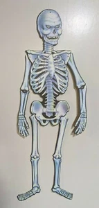 Vintage 1984 Beistle Halloween 44" Jointed Mean Skeleton Decoration  - Picture 1 of 10