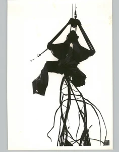 Crane Removes Roof TRAGIC Beverly Hills FIRE Kentucky Vintage 1977 Press Photo - Picture 1 of 2