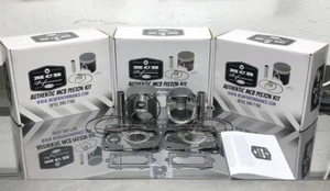 Arctic Cat ZR900 900 King / Mountain Cat 900 piston kit comp 2003-2006 3006-393 - Picture 1 of 1