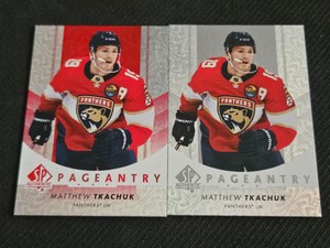 2022-23 UD SP AUTHENTIC MATTHEW TKACHUK P-28 PAGEANTRY 2 CARD LOT RED + REG