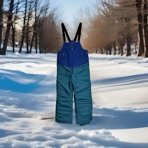 NWT Patagonia Kids Powder Town Bibs/Snow Pants Passage Blue MSRP $189 Size 10 - Picture 1 of 11