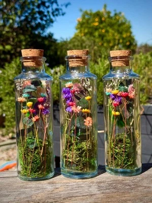 Frascos de terrario Foto 1 de 2