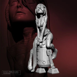 Princess Leia 1/24 Resin Figure Model Kit Unpainted Unassembled GK TD-3872 - Picture 1 of 3