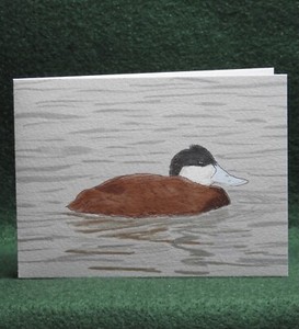 MisterBcards Single Ruddy Duck Card  (95x140mm) with White C6 Envelope