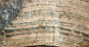 Russian Picture Rock Scarn Datolith Lapidar grob 7+ Pfund Platte/Kabine tolle Bänder - Bild 1 von 10