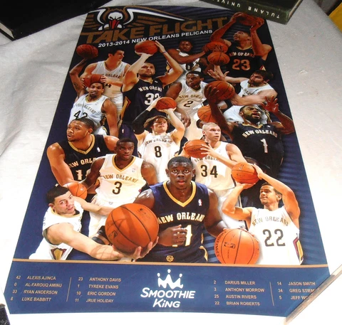 VINTAGE 2013-14 NEW ORLEANS PELICANS TEAM POSTER ANTHONY DAVIS Cover