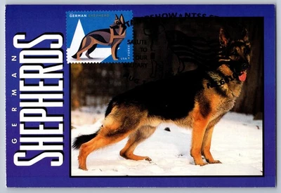 #5405 Military Working Dogs German Shepherds FDC Maxi Card w/Pictorial Cancel - Image 1 of 2