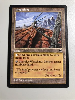 Wasteland - Tempest NM Very Clean  (Check Pics) MTG TCG - Image 1 of 3