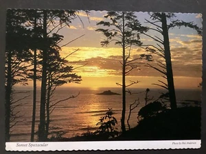 Postcard Stunning Sunset of ocean and trees in Portland Oregon Mel Anderson B56 - Picture 1 of 2