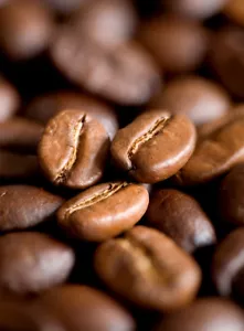 TOSTATURA FRESCA 100 libbre, Supremo Medellin colombiano, caffè in grani intero, 100 libbre - Foto 1 di 1