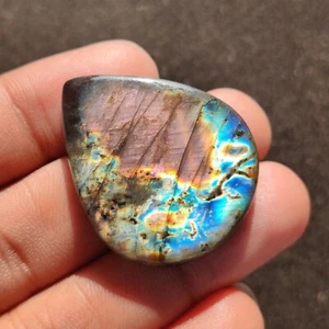 Pietra Preziosa Cabochon Libera Multi Fuoco Naturale Labradorite, 69,25 Carati, 37x30x6 MM. - Foto 1 di 7