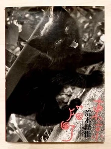 Nobuyoshi Araki Living Cats in Tokyo HEIBONSHA Japan Photo Book USED - Picture 1 of 4
