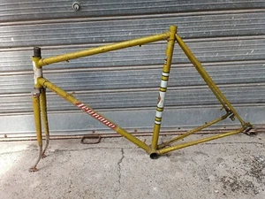Cadre Fourche Vélo da corsa Legnano Anni 6070 Sans Campagnolo Umberto Des - Bild 1 von 7