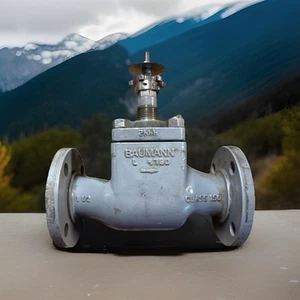 Baumann 1 1/2” Globe Valve 4790 Class 150 Flanged Ends - Picture 1 of 11