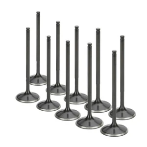 Juego de 10 válvulas de admisión nitruradas negras Supertech 16V para Audi/VW 2.0T FSI - Imagen 1 de 1