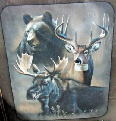 "DYNAMIC TRIO" Rebecca Latham and Cynthie Fisher Luxury Plush Blanket Queen - Image 1 of 3