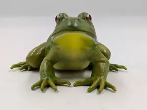 2007 Safari Ltd. American Bullfrog – Incredible Creatures Figure 4.5” Long - Picture 1 of 8
