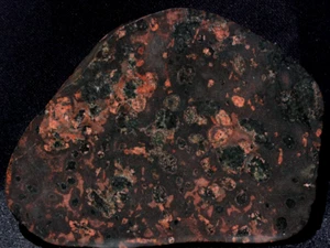 S123a ~ 5,5 Unzen dicke Platte Mary Ellen Stromatolith Jaspis ~ Biwabik Minnesota - Bild 1 von 10