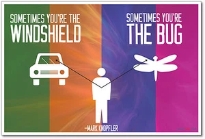 Sometimes You Are The Windshield - NUEVO póster de cotización motivacional para el aula - Imagen 1 de 1