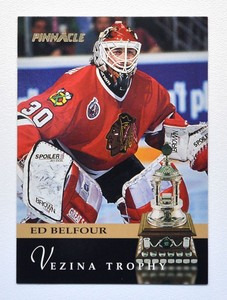 1993-94 Pinnacle #224 Ed Belfour AW